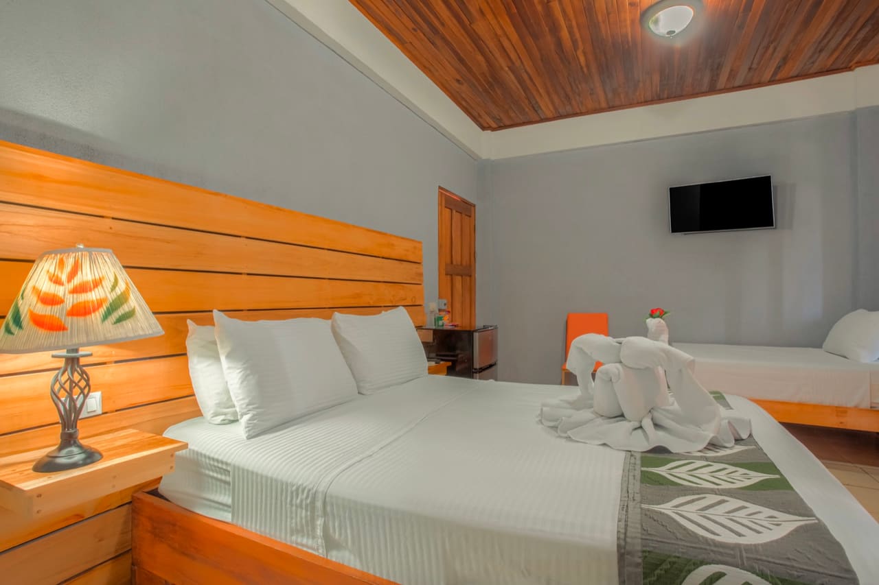 Habitación Confort